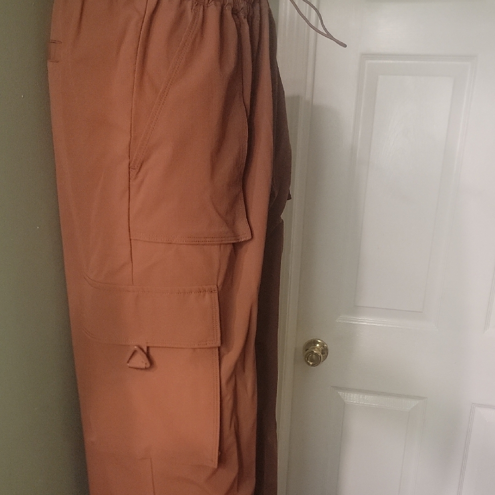 Fabletics Rust Pants - Picture 2 of 6